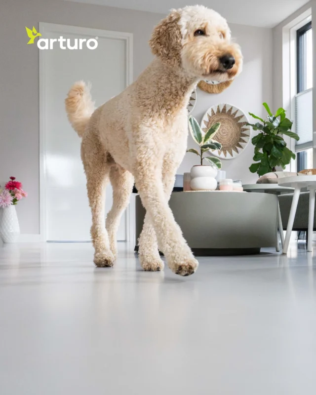 𝗣𝗮𝘄 𝗽𝗿𝗶𝗻𝘁𝘀? 𝗡𝗼 𝘀𝘁𝗿𝗲𝘀𝘀! 🐾  Think pets and sleek interiors don't mix? Think again! An Arturo resin floor and a furry friend are the ultimate match. Whether they are racing inside after a rainy walk or lounging around, our floors are built to handle it all.  Thanks to the scratch-resistant finish and seamless surface, muddy prints and pet hair are cleared away in seconds. No hassle, just a hygienic, stylish, and durable foundation for the whole family (including the four-legged members). 🐶🐱  Resin floor + pets = the perfect combo!  #arturo #resinfloor #petsathome #interiorinspiration #easyclean #scratchresistant